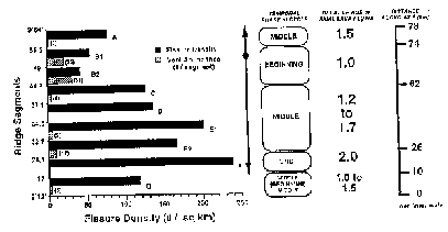 Figure 10 Image