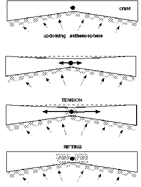 Figure 3 Image