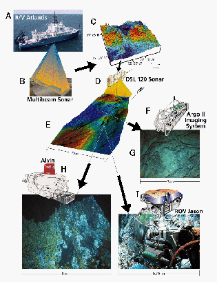 Figure 2 Image