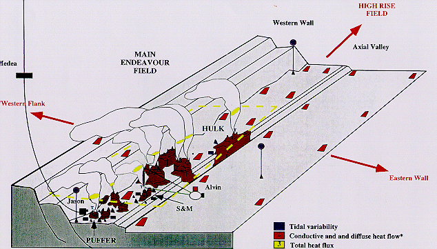 Main Vent Fields