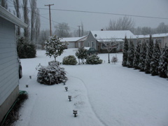 philomath_snow1.jpg