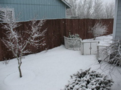 philomath_snow2.jp