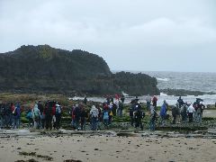 taking_on_tidepools